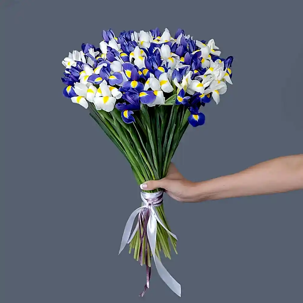 монобукет ирис 51 шт микс 
