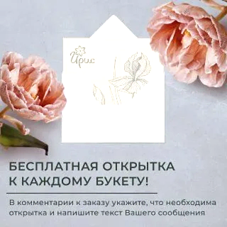 монобукет из 5 белых гипсофил 
