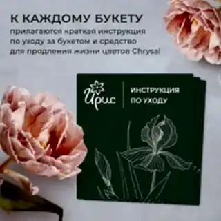 монобукет 5 роз "porcelaine" под ленту 