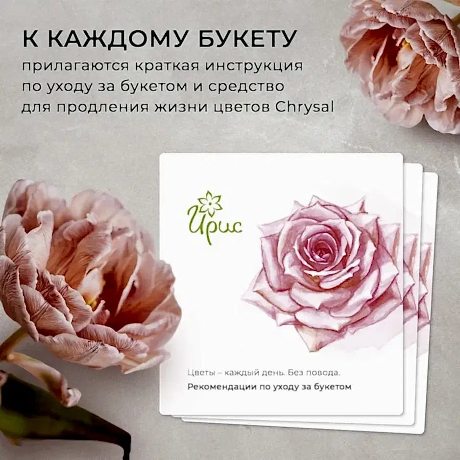 букет из 17 роз pink floyd 