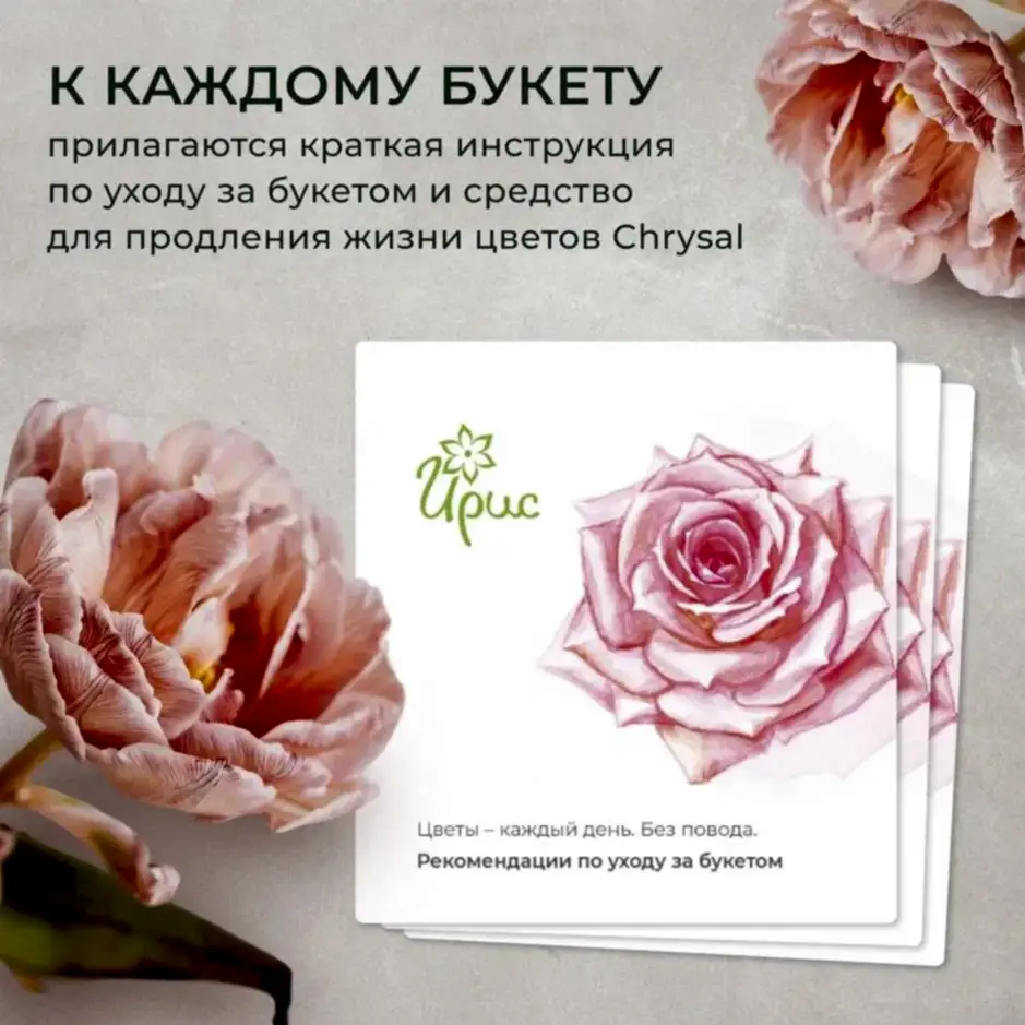 Флорариум Кокедама фиттония 