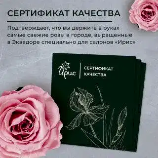 монобукет 21 пионовидных роза "kahala" под ленту 