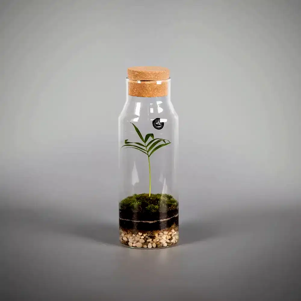 Мини-флорариум Bottle 6