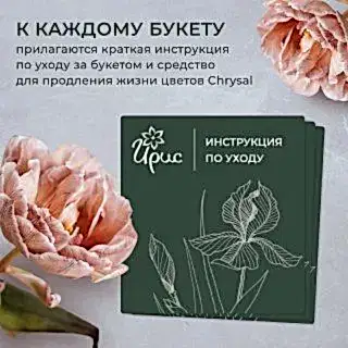 монобукет 9 пионов "old faithful" под ленту 