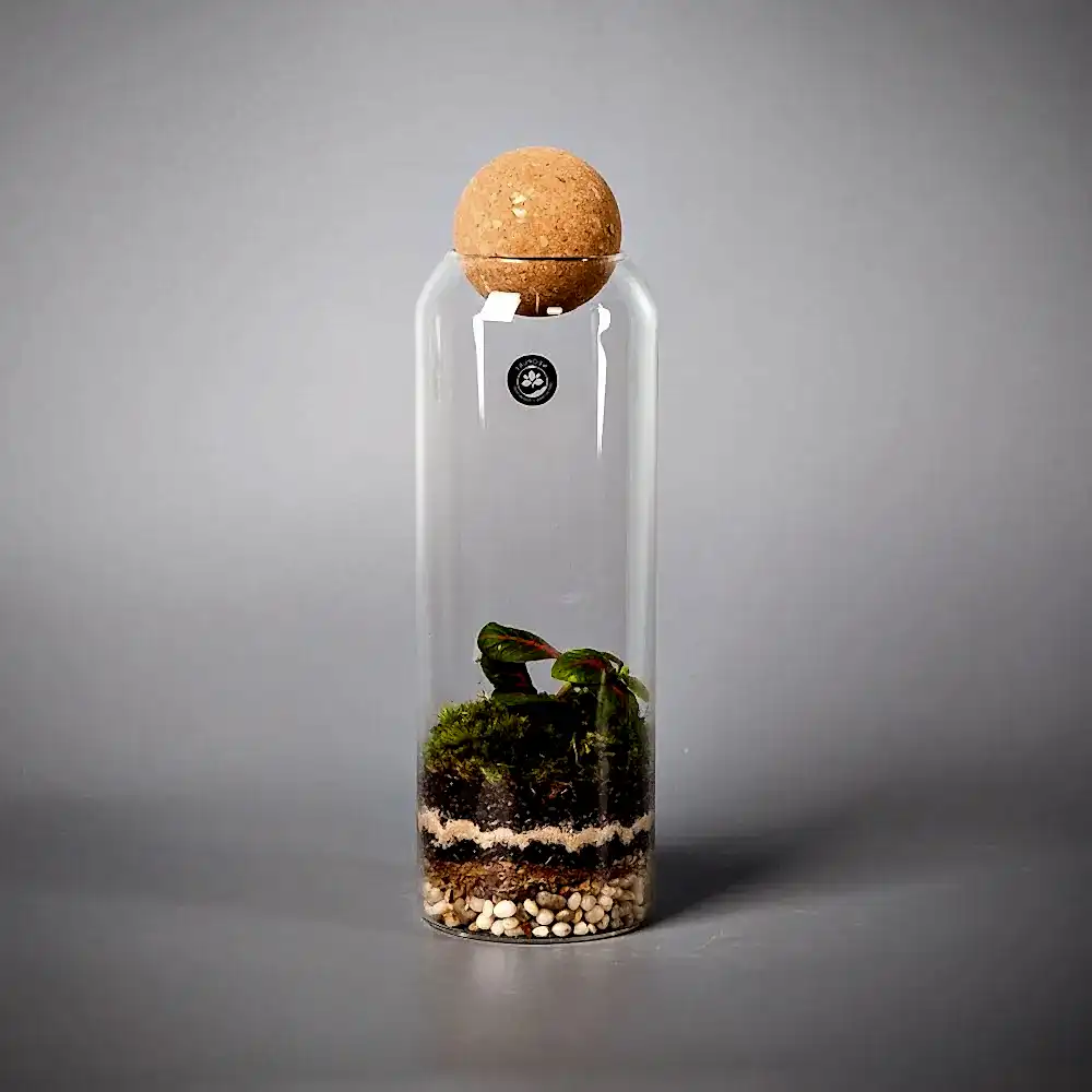 мини-флорариум bottle 8 