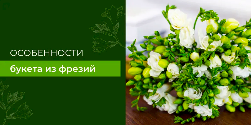 Особенности составления букета из фрезий