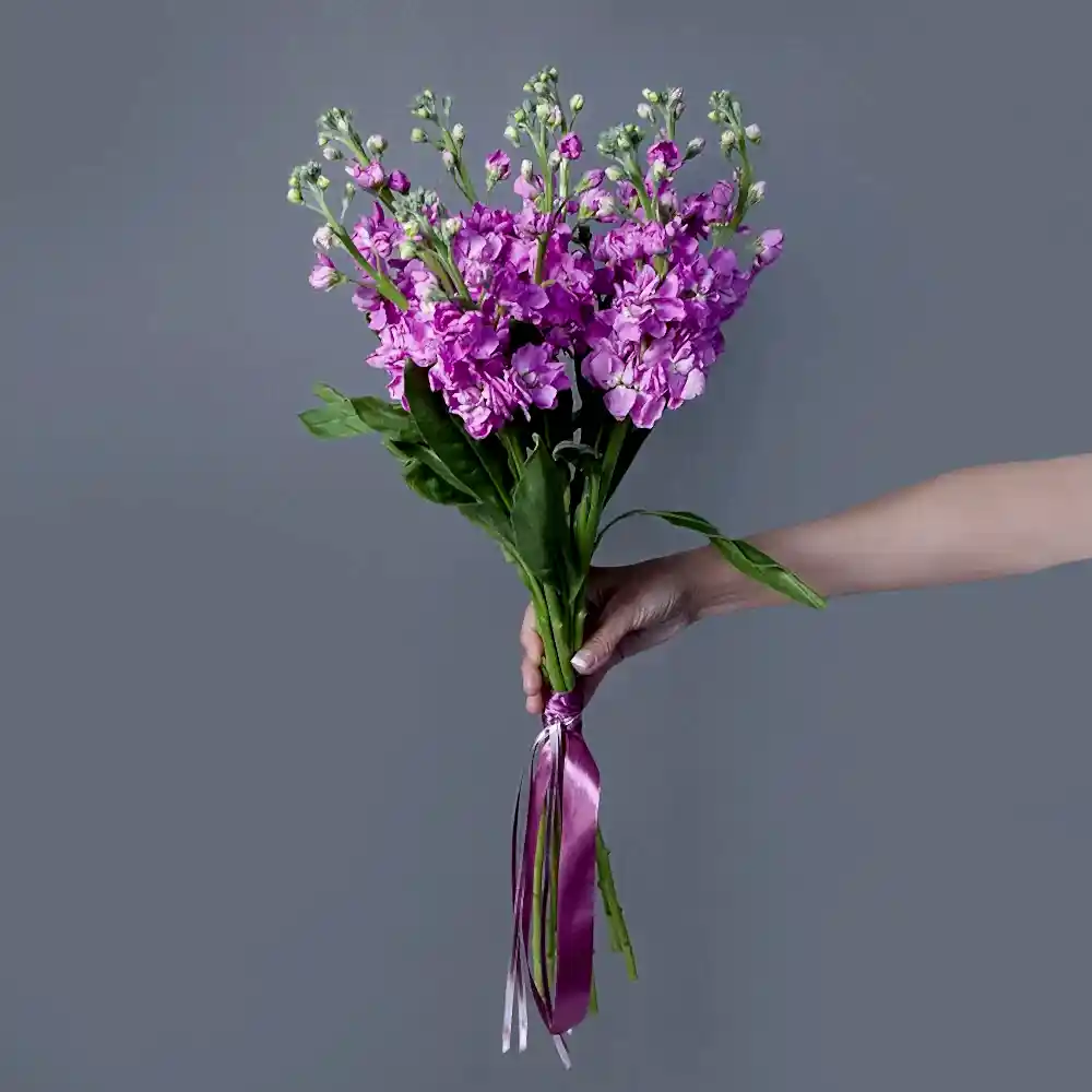 монобукет маттиола лавандовая 9 шт 