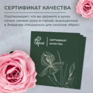 букет "симфония" pink 