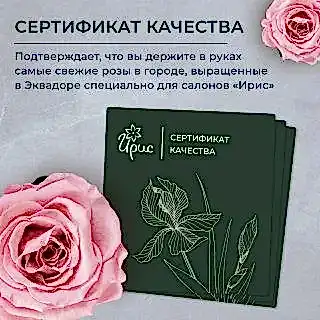 композиция "лучи счастья" 