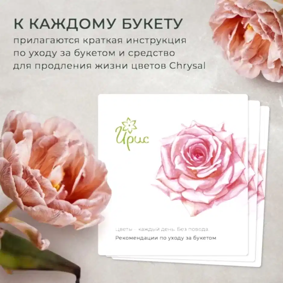 Флорариум XL