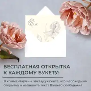 монобукет 25 роз "pink mondial" под ленту 