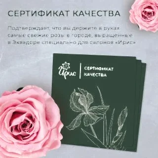 монобукет из 15 тюльпанов микс 