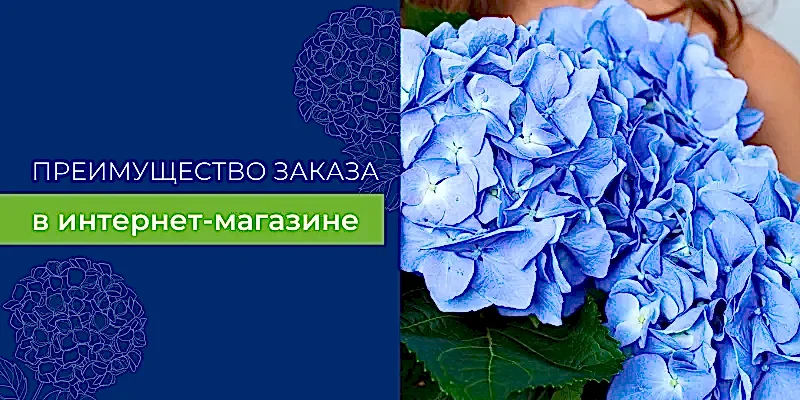 Преимущества заказа цветов в интернет-магазине