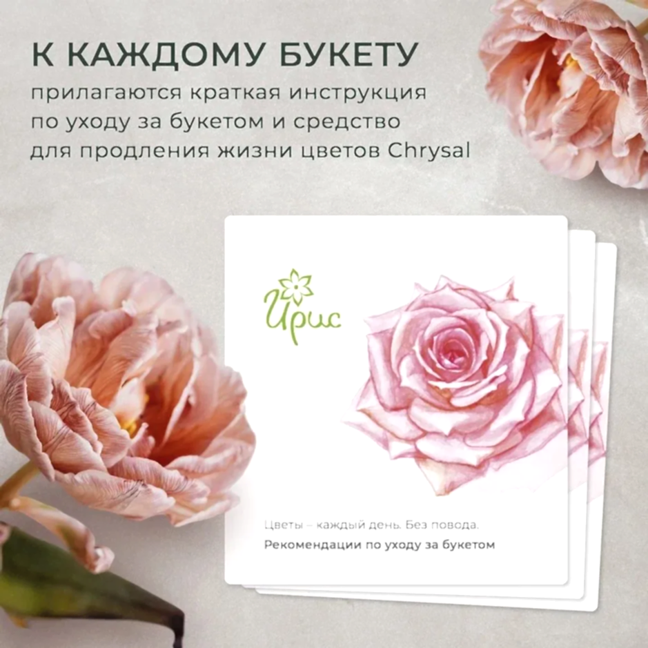 Флорариум Бутылка 3 аспарагус 