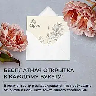 монобукет из 7 нежных георгинов 