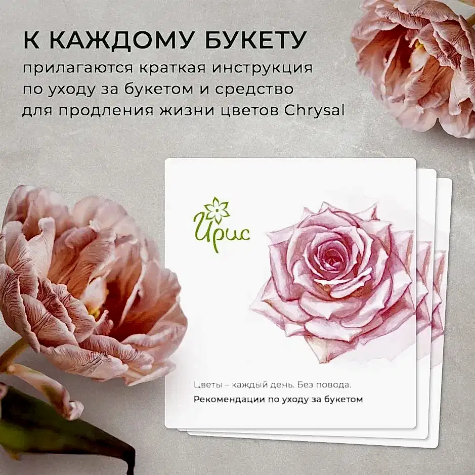 Флорариум Преципуя