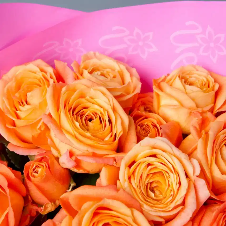 монобукет 5 кустовых роз "apricot lace"  в упаковке 