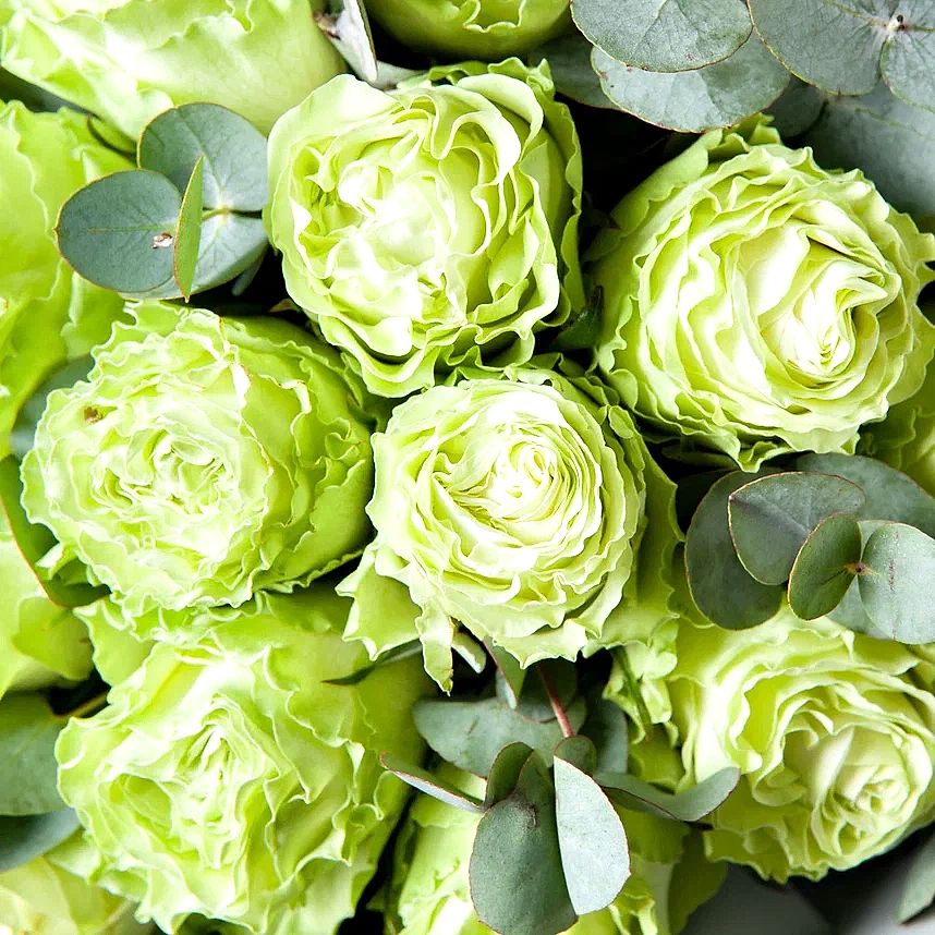 монобукет 19 роз "wasabi" в упаковке 
