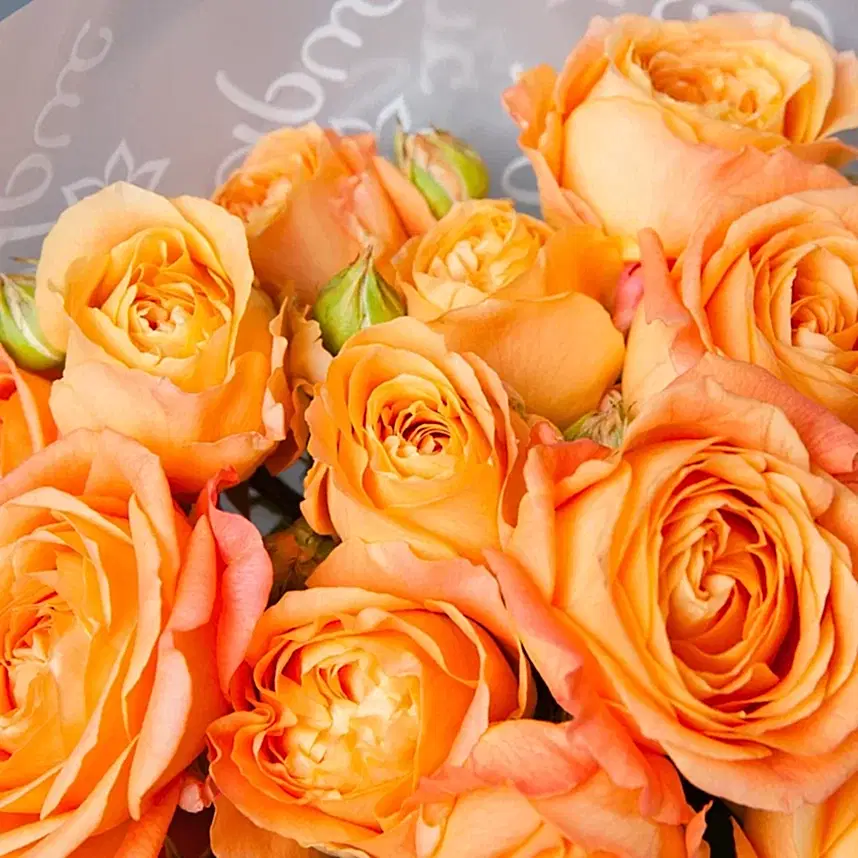 монобукет 5 кустовых роз "apricot lace"  в белой упаковке 