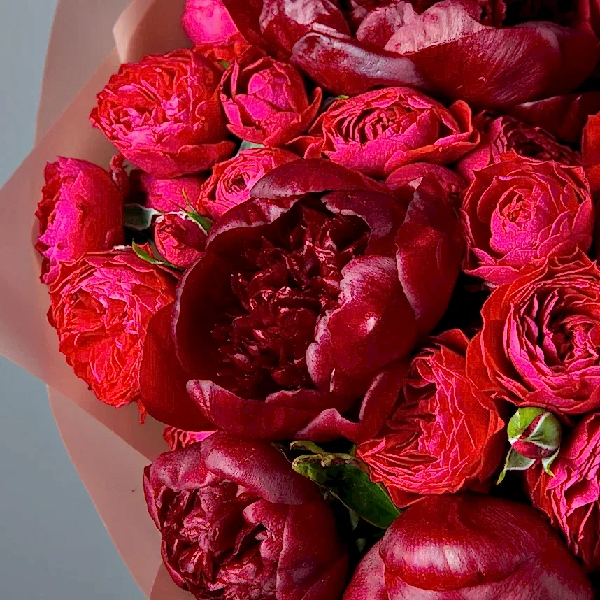 букет из 5 пионов red charm и роз в упаковке 