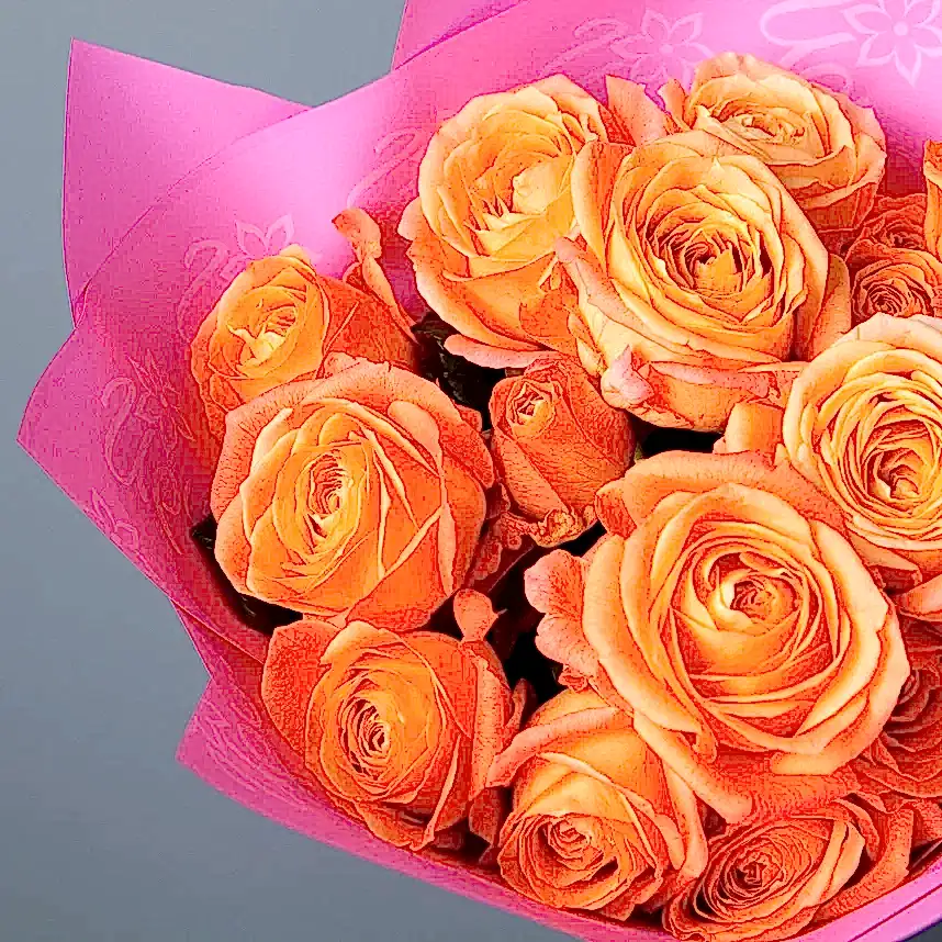 монобукет 5 кустовых роз "apricot lace"  в упаковке 