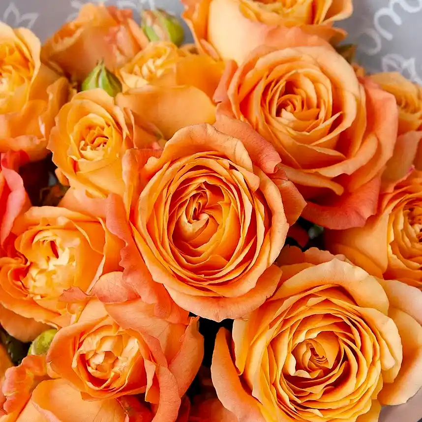 монобукет 5 кустовых роз "apricot lace"  в белой упаковке 